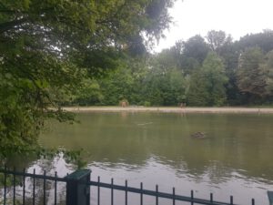 Isar